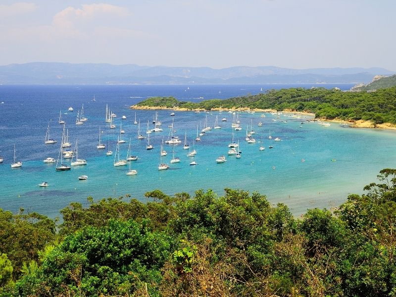 <p>Viaggio Lavanda</p>